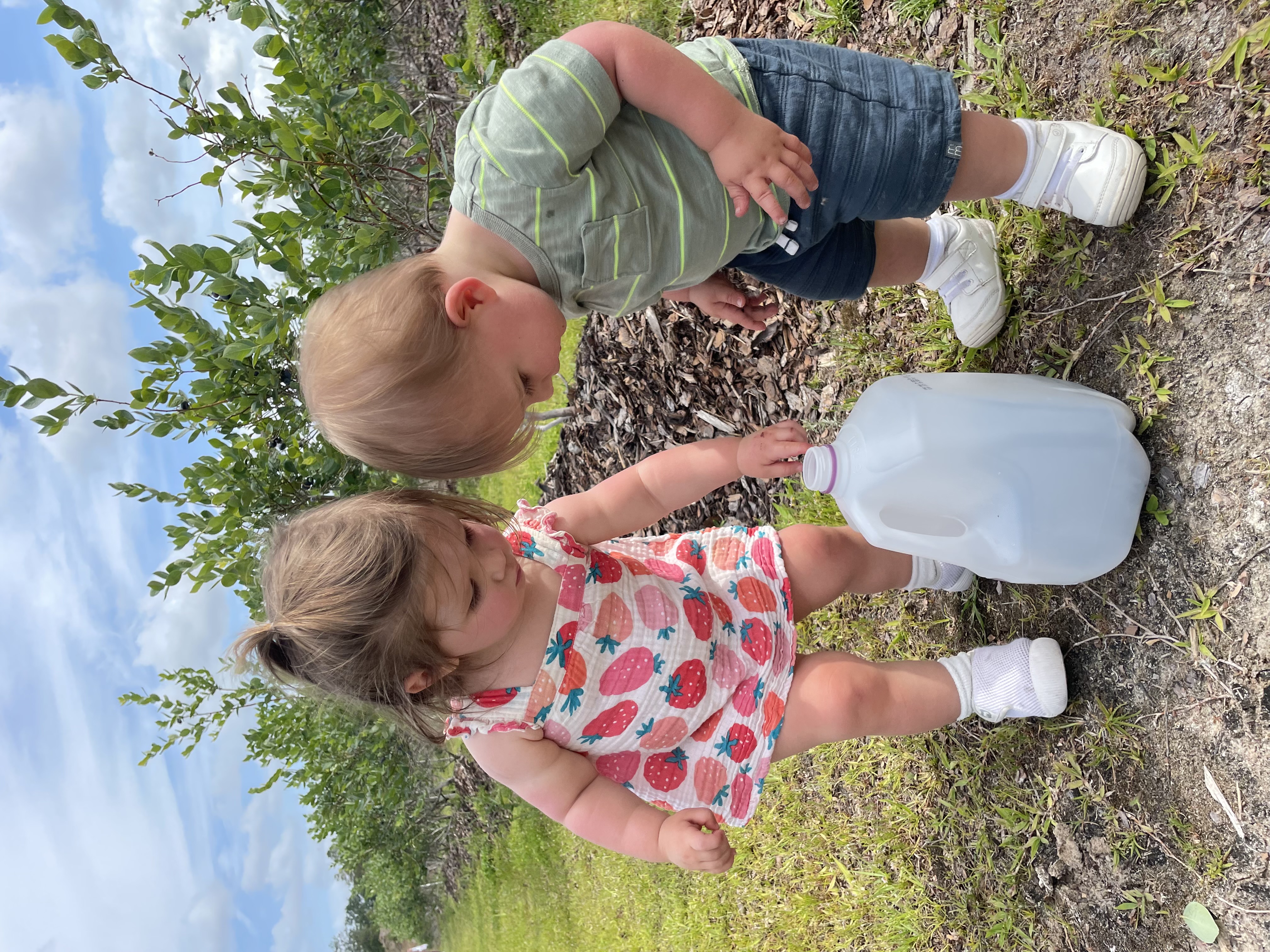 Two toddlers with blueberry jug