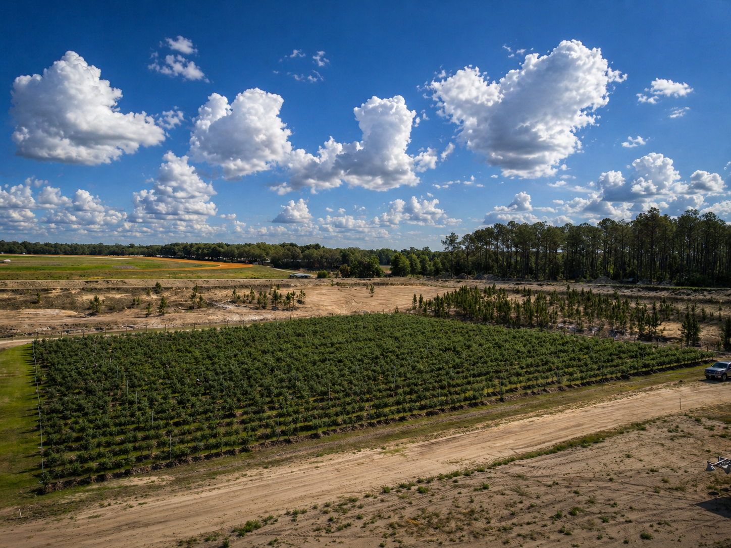 Farm field